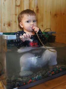 kids-act-like-animals-aquarium__700