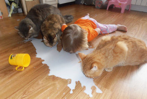 kids-act-like-animals-cats__700
