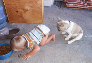 kids-act-like-animals-eating-from-dogs-bowl__700