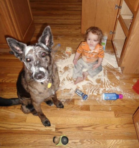 kids-act-like-animals-playing-with-dog__700